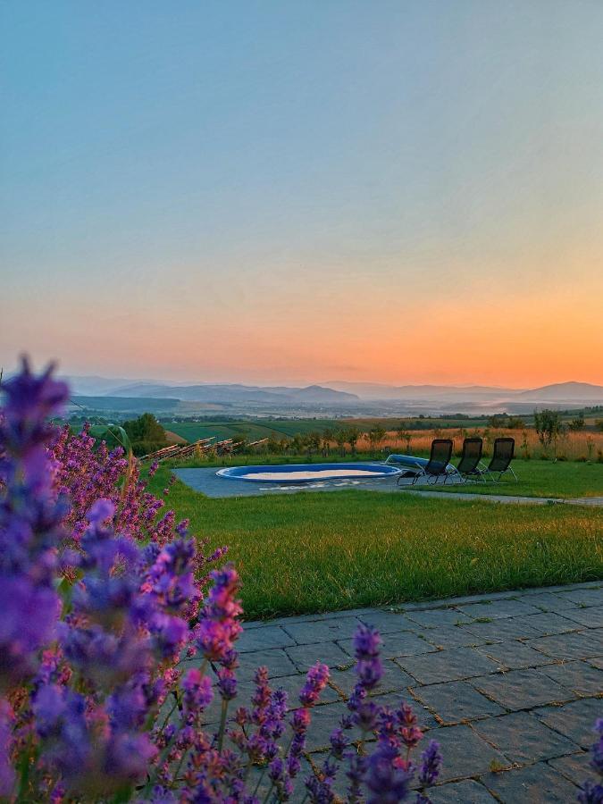Villa Krayka House à Starunya Extérieur photo