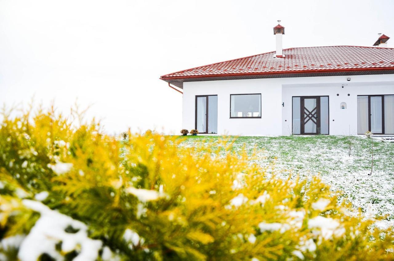Villa Krayka House à Starunya Extérieur photo